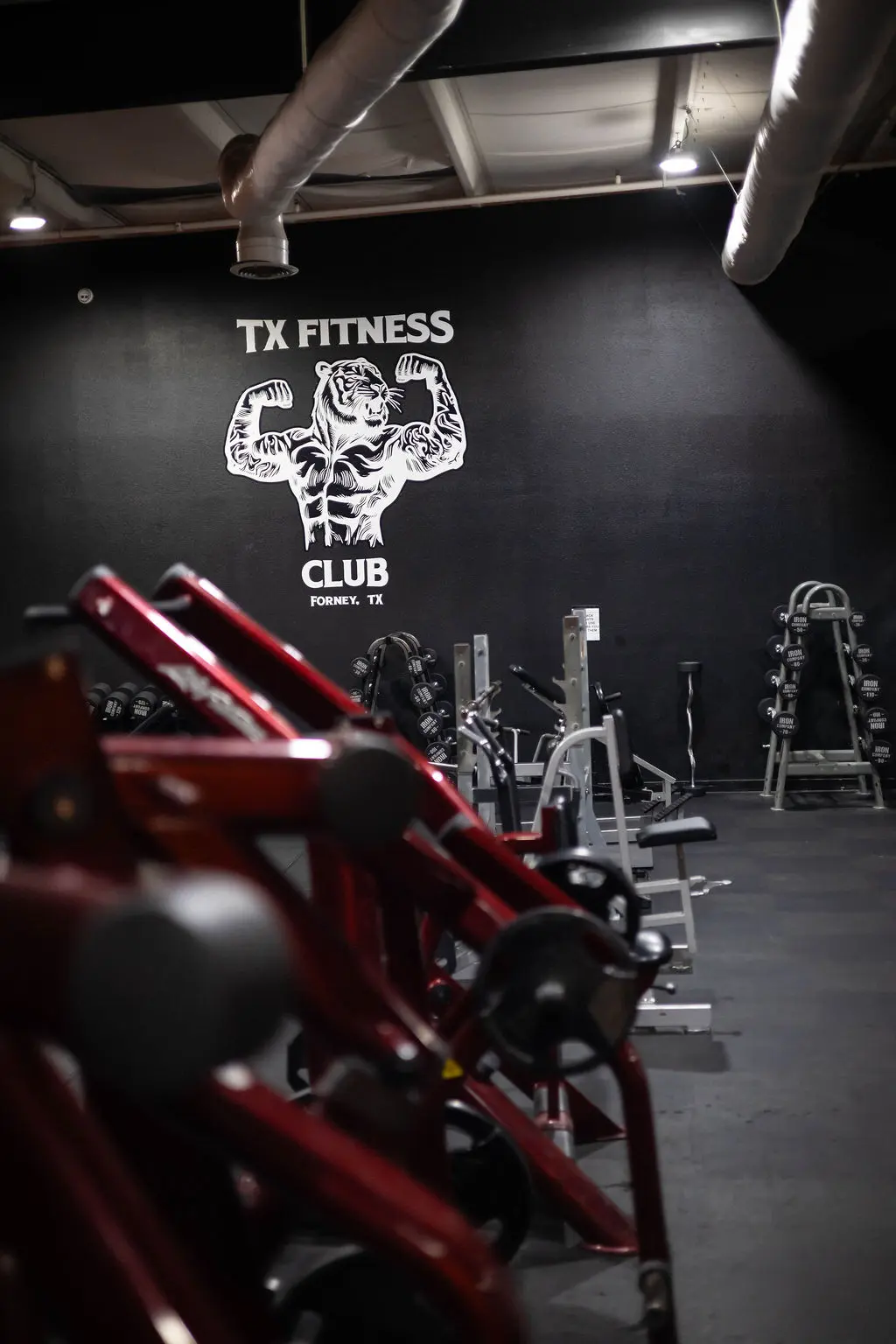 Plate-loaded machines with TX Fitness Club tiger wall mural
